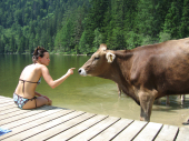 Quelle: photocase gendahar
