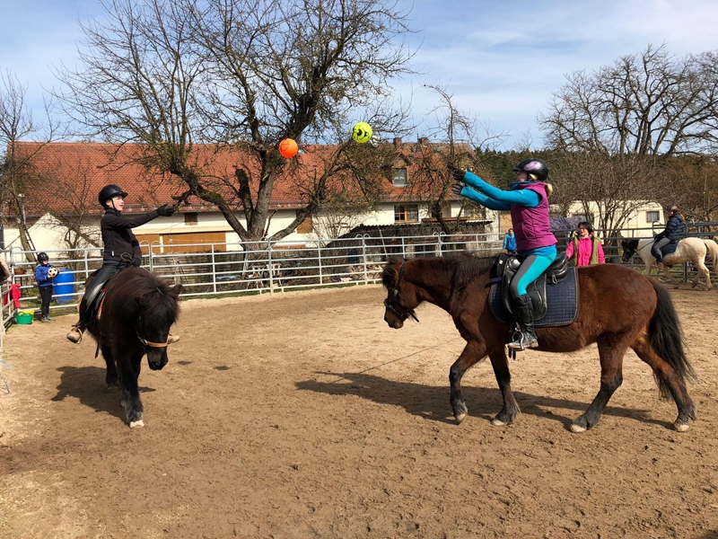 Ferien mit Islandpferden