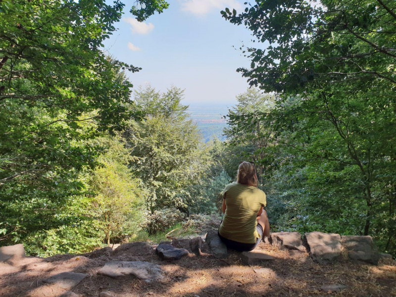 Trekking Tour im Pfälzerwald