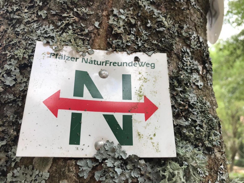 Vortrag VHS: Die Naturfreundebewegung – Pioniere des sozial-ökologischen Handelns