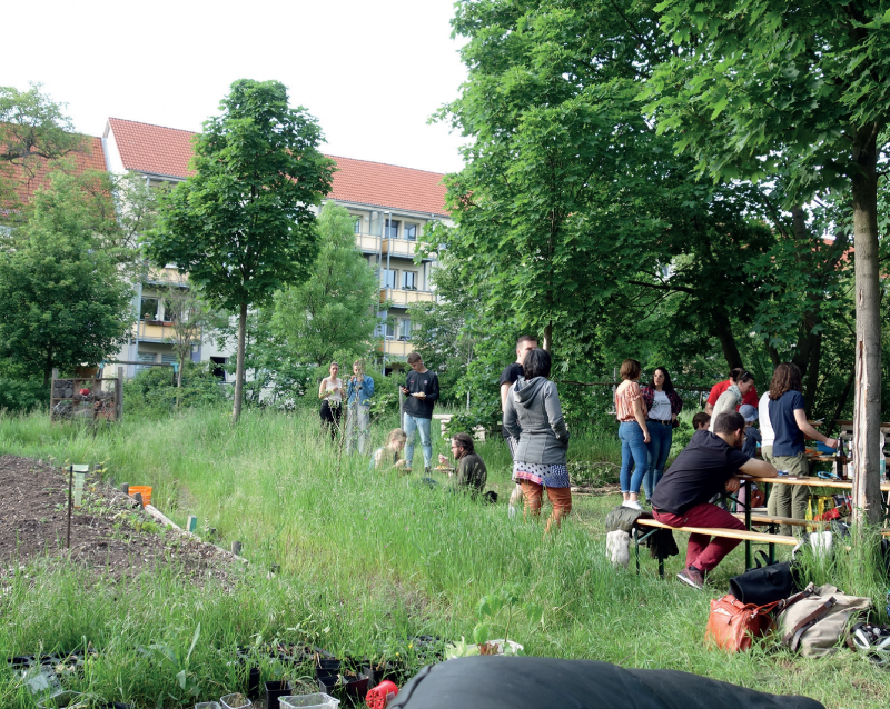 Grillen und Chillen im Garten