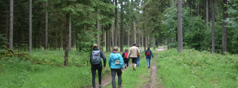 Summeraction in Eisenach