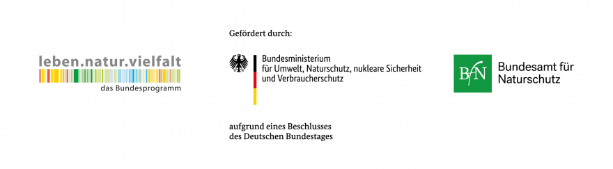 Foerderpartnerinnen-Info-Leiste_fuer_Verbaendewebsites_2000_x_415_px_1