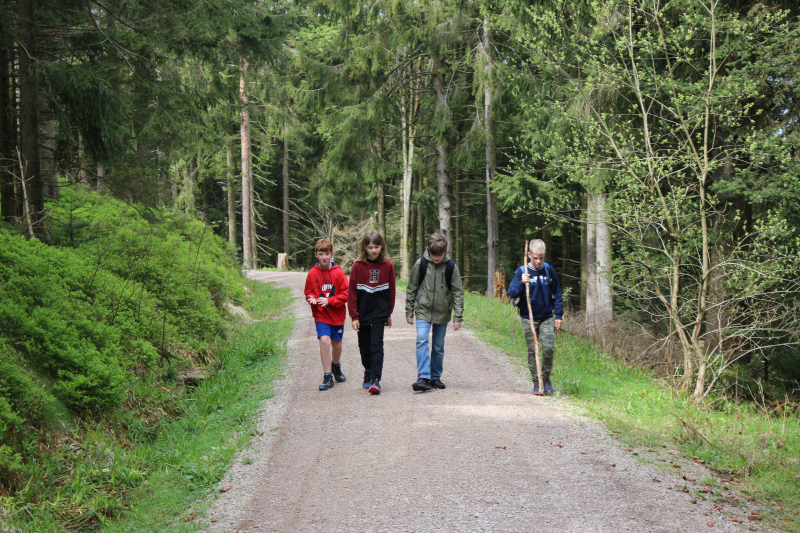 Naturwochenende im Nationalpark Schwarzwald 2025