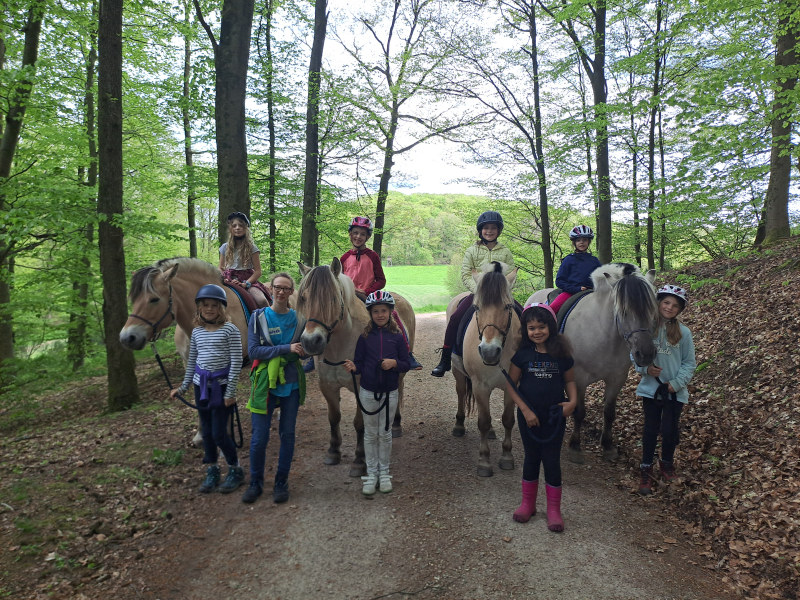 AUSGEBUCHT Kinderwochenende mit Ponyreiten auf dem Kohlhof 2025