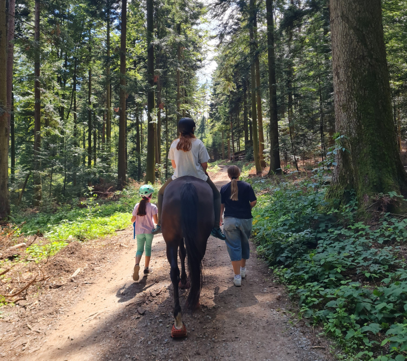 Kinderfreizeit Moosbronn 2025
