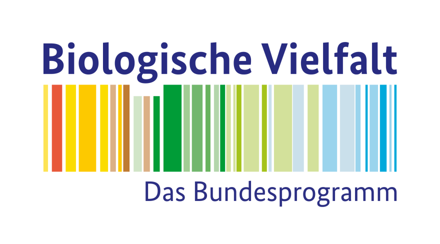 Neues Logo bpbv ab Juni 2025 png