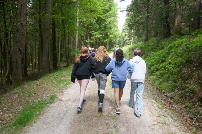 Naturwochenende im Nationalpark Schwarzwald